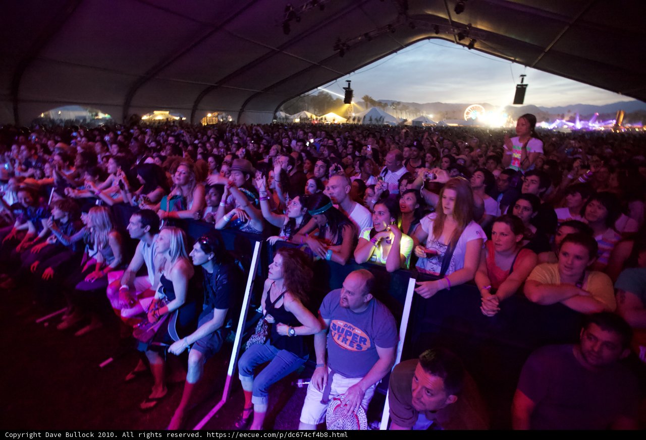 The Electric Crowd at Coachella 2010