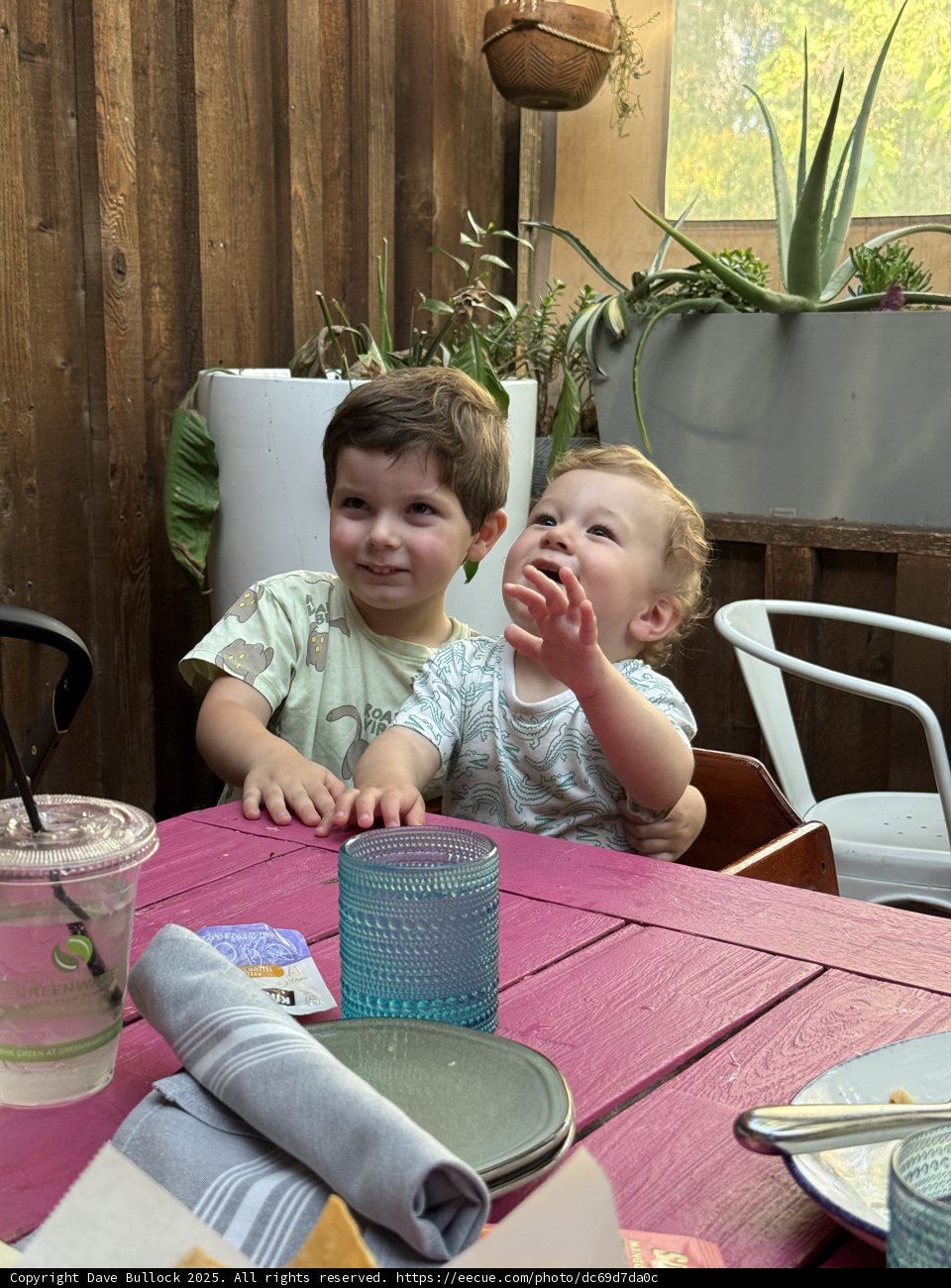 Joyful Moments in Walnut Creek