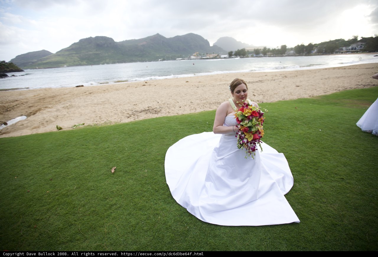 Blissful Bride by the Ocean