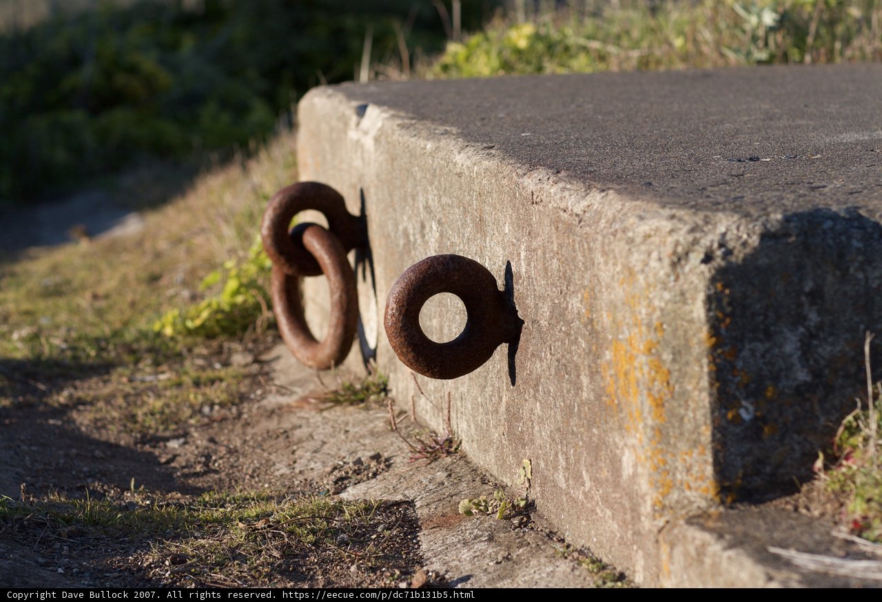 Forgotten Relic