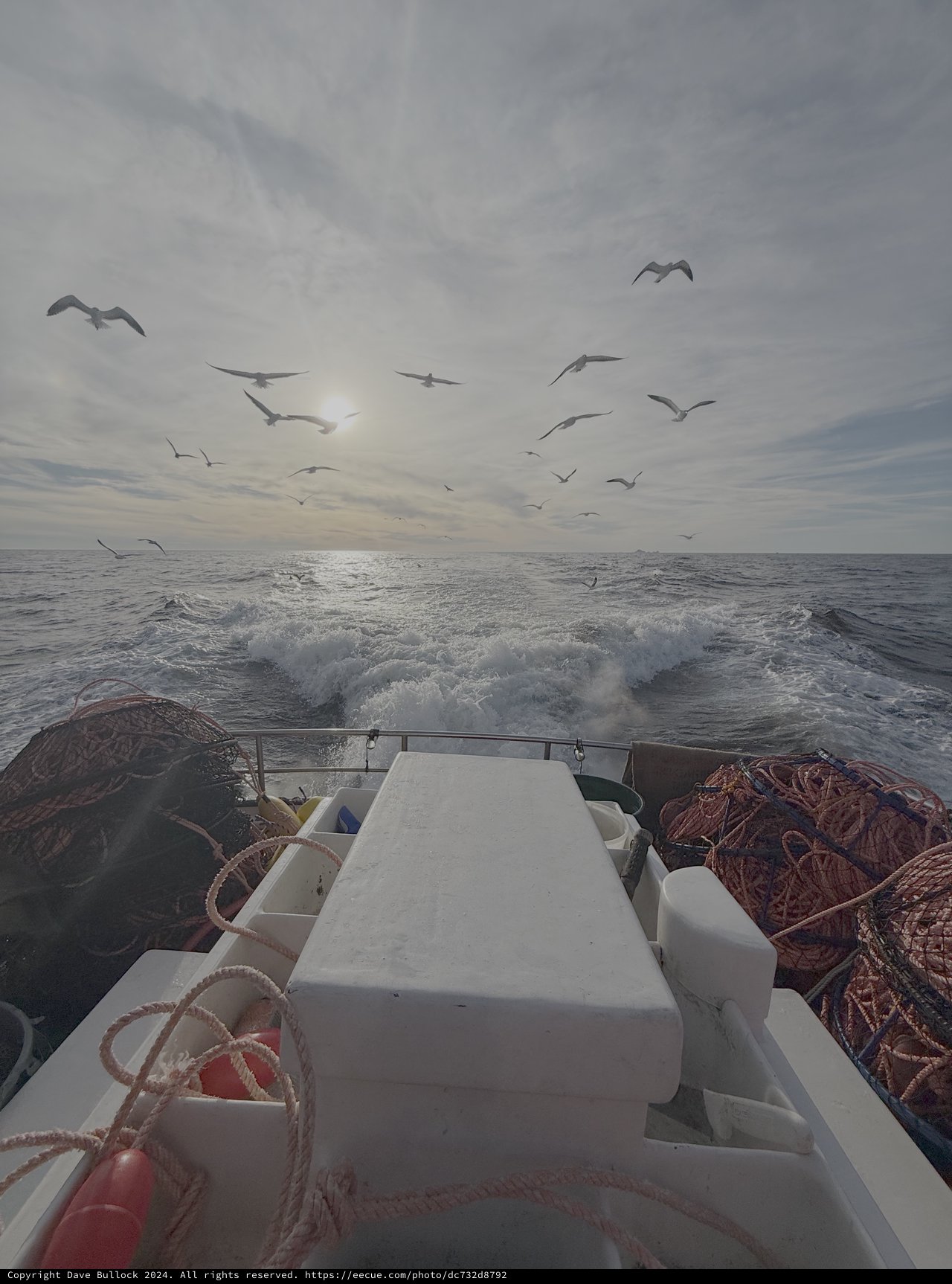 Seabirds Following Fishing Boat in Rough Seas