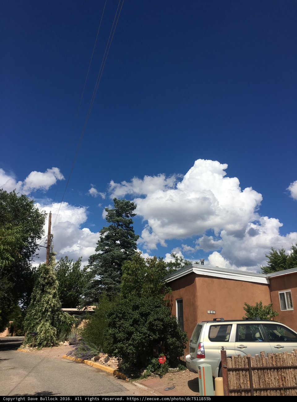 A Peaceful Neighborhood View
