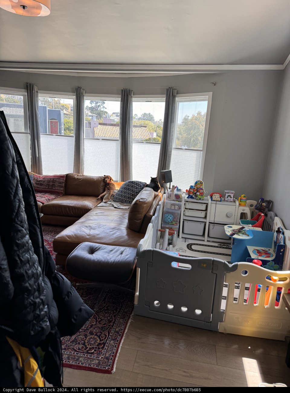 Cozy Corners: Harmony at Home