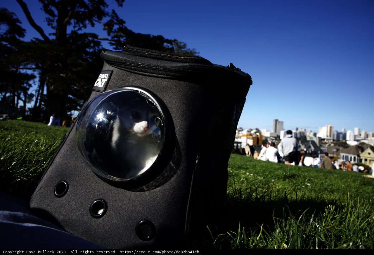 A Serene Day at Alamo Square