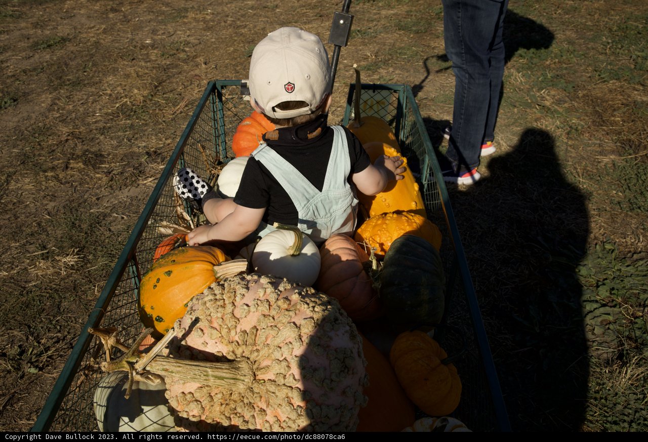 Fall Harvest Family Fun