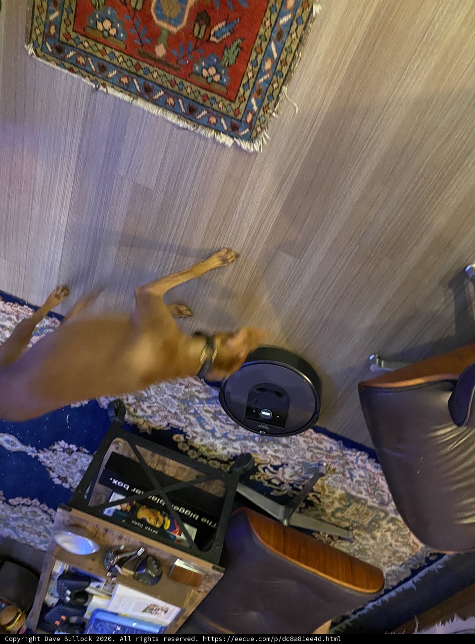 Musical Interlude