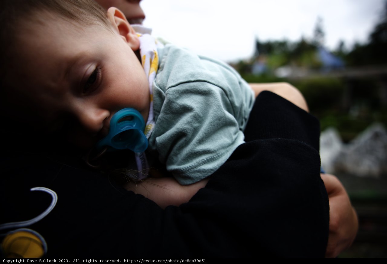 Magical Moments at Disneyland