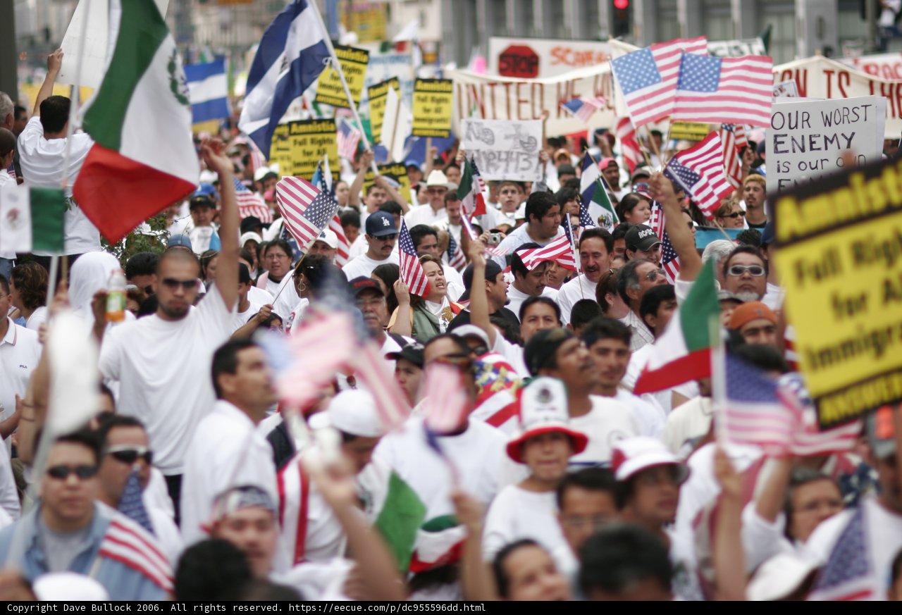Unity in Diversity