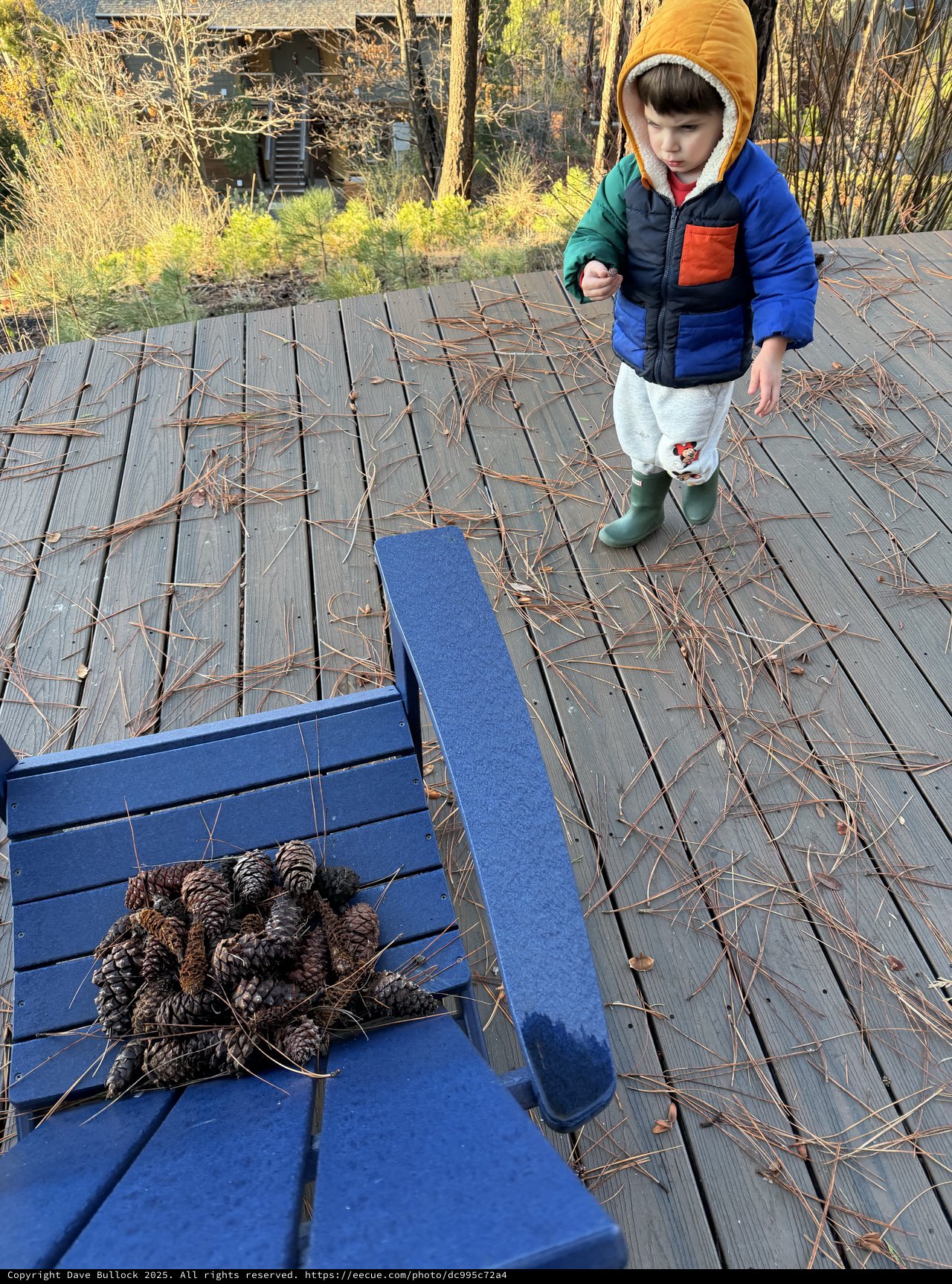 Toddler Explores Pine Cone Collection on Winter Deck