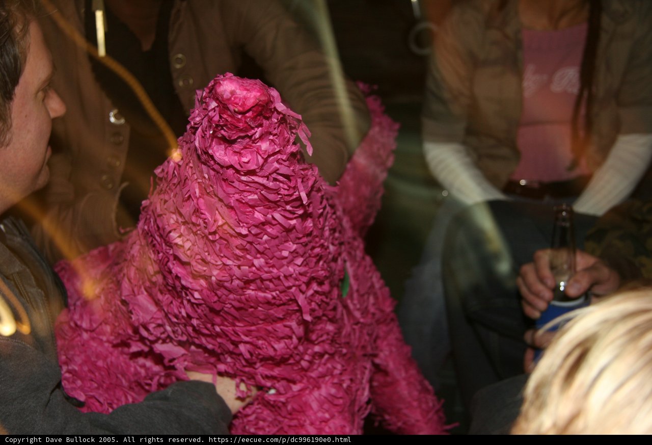 Pink Stuffed Animal Companion