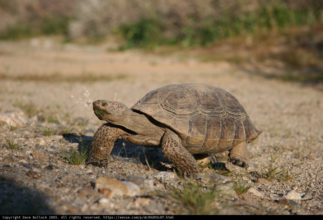 Slow and Steady on the Road