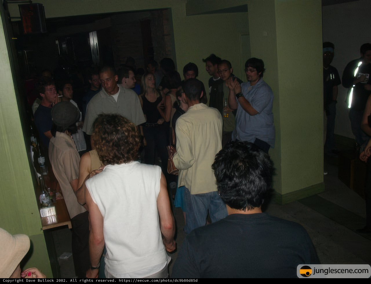 Nightclub Gathering