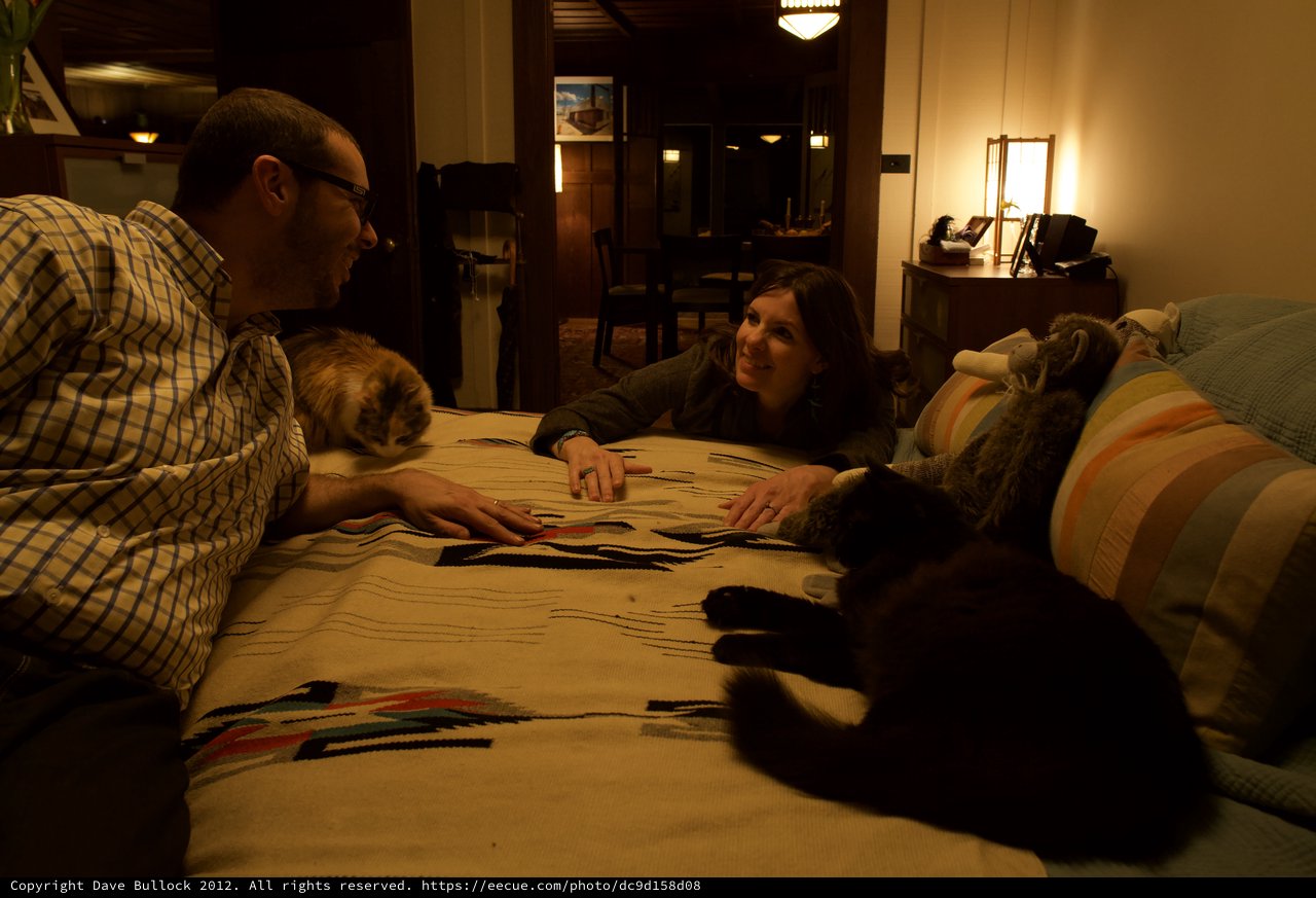 Couple Relaxing on Bed with Cats at Night