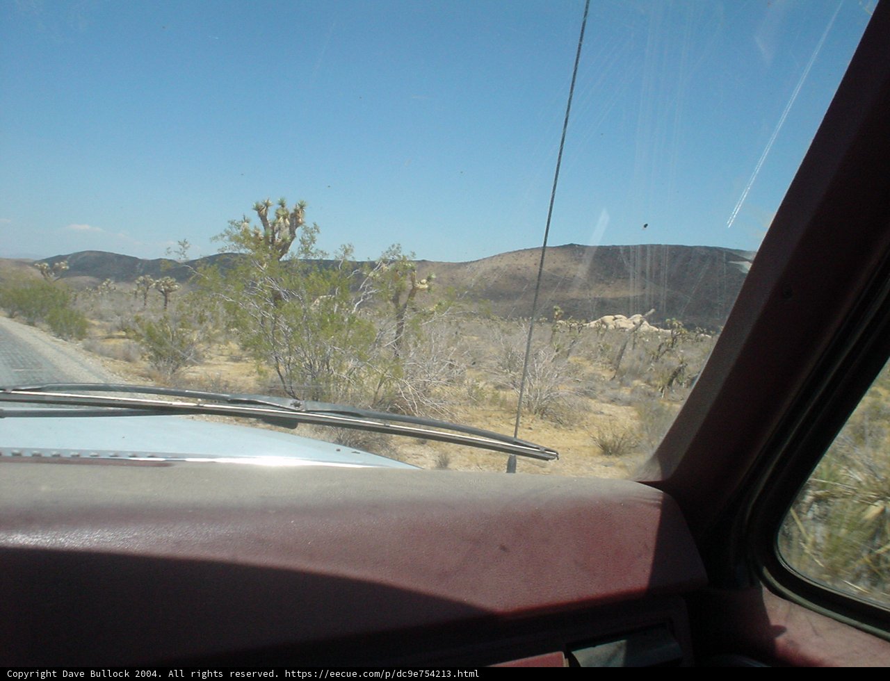 Cruising Through the Desert