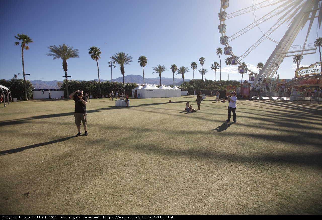 Ferris Wheel Fun at Coachella