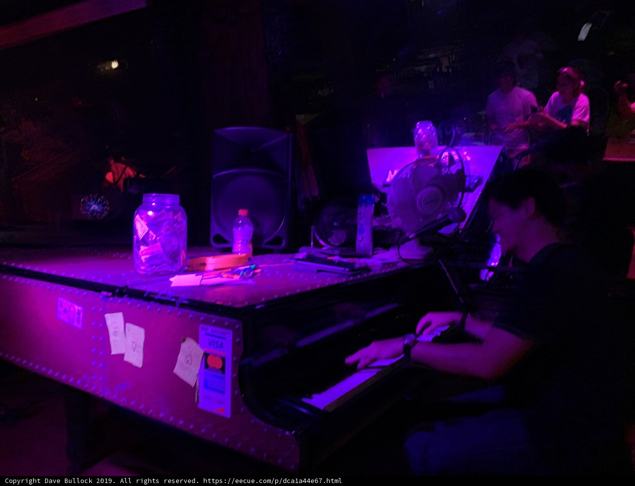 Nightclub Pianist