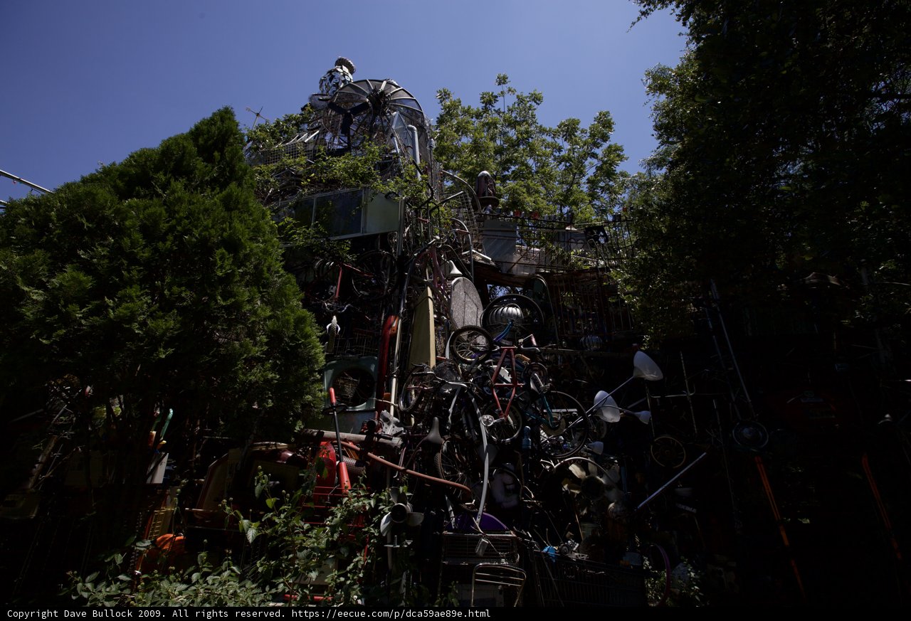 The Ultimate Tree House
