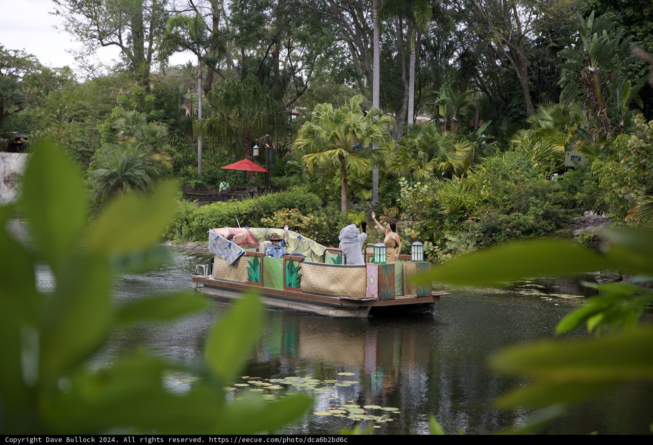 Mystical Journey Through the Bayou
