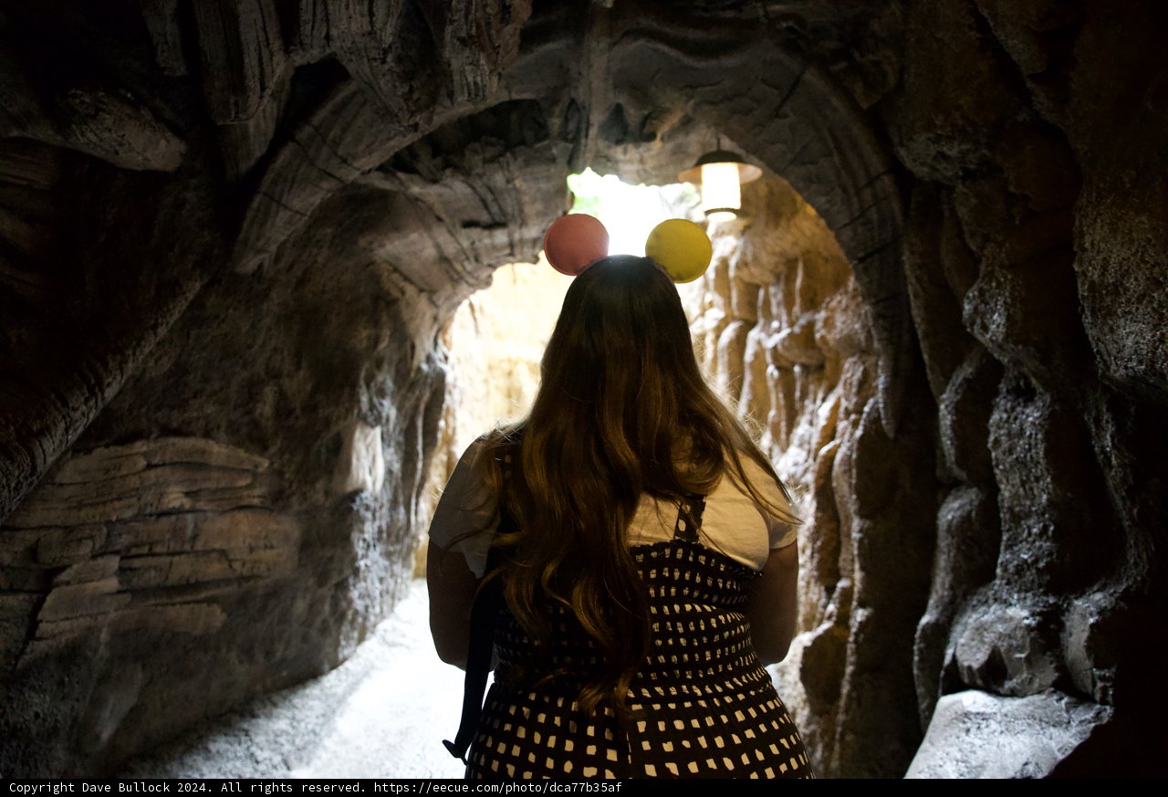 Magical Exploration at Animal Kingdom