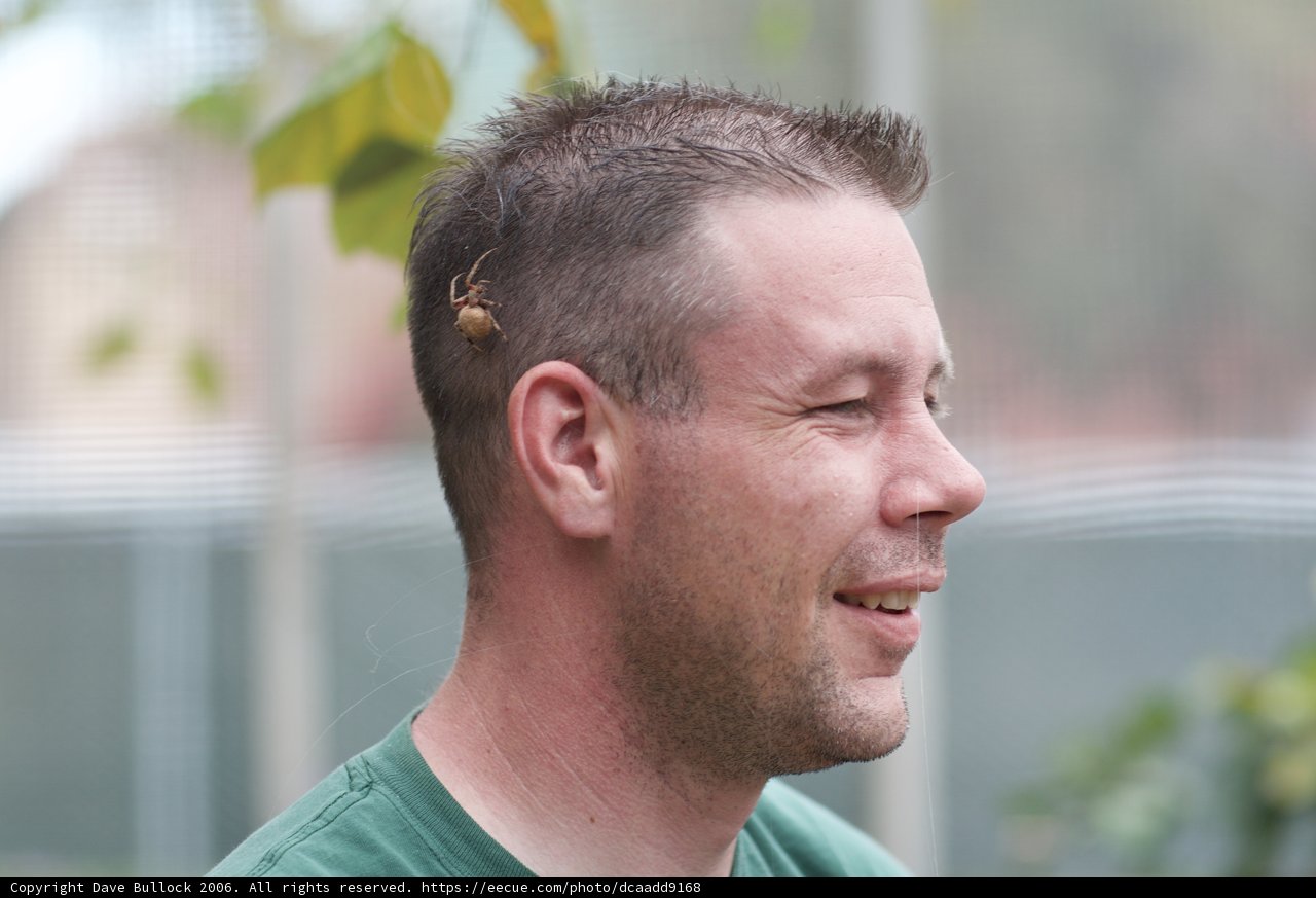 Creepy Crawly Crew Cut