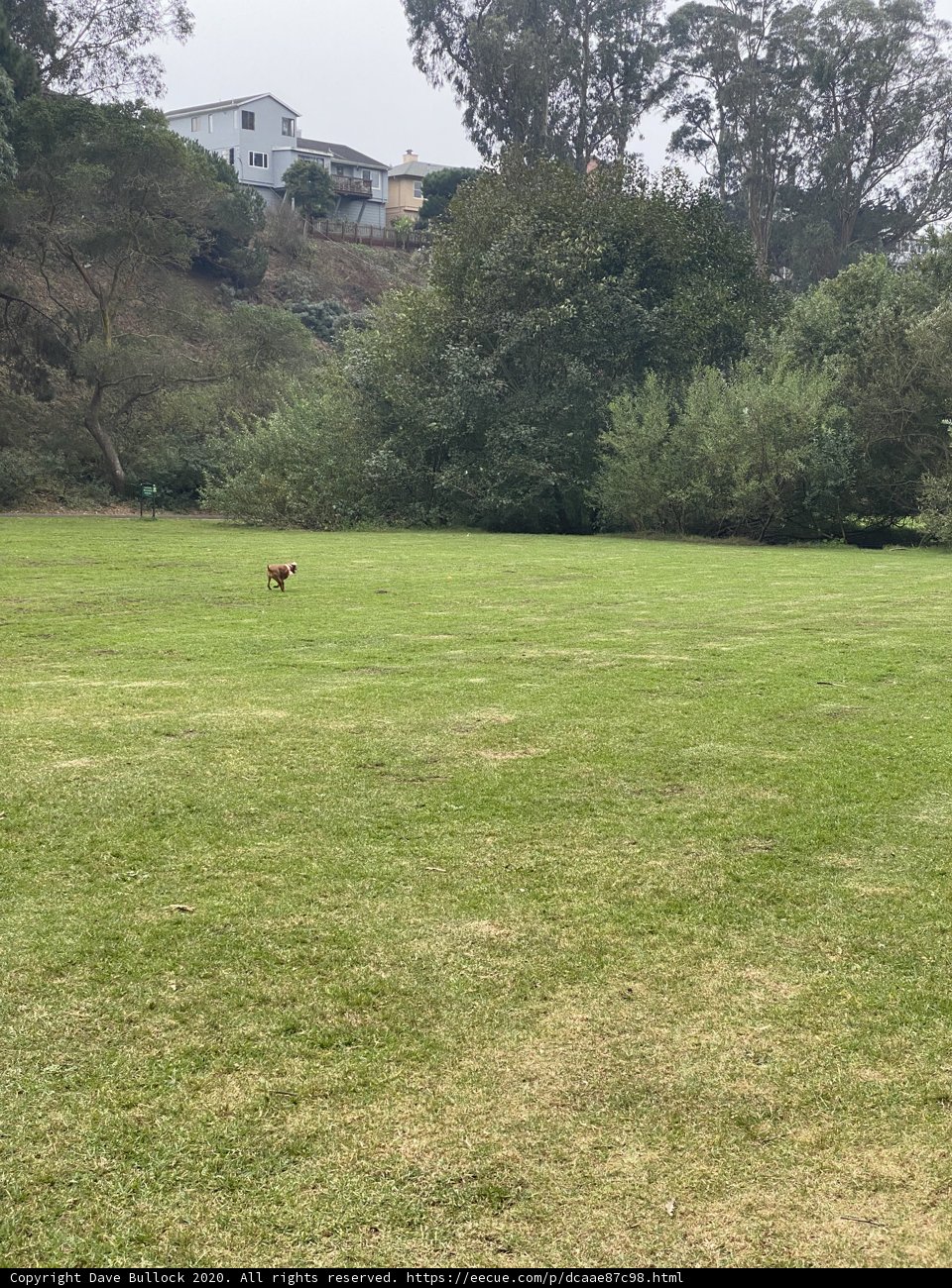 Playtime at Pine Lake Park