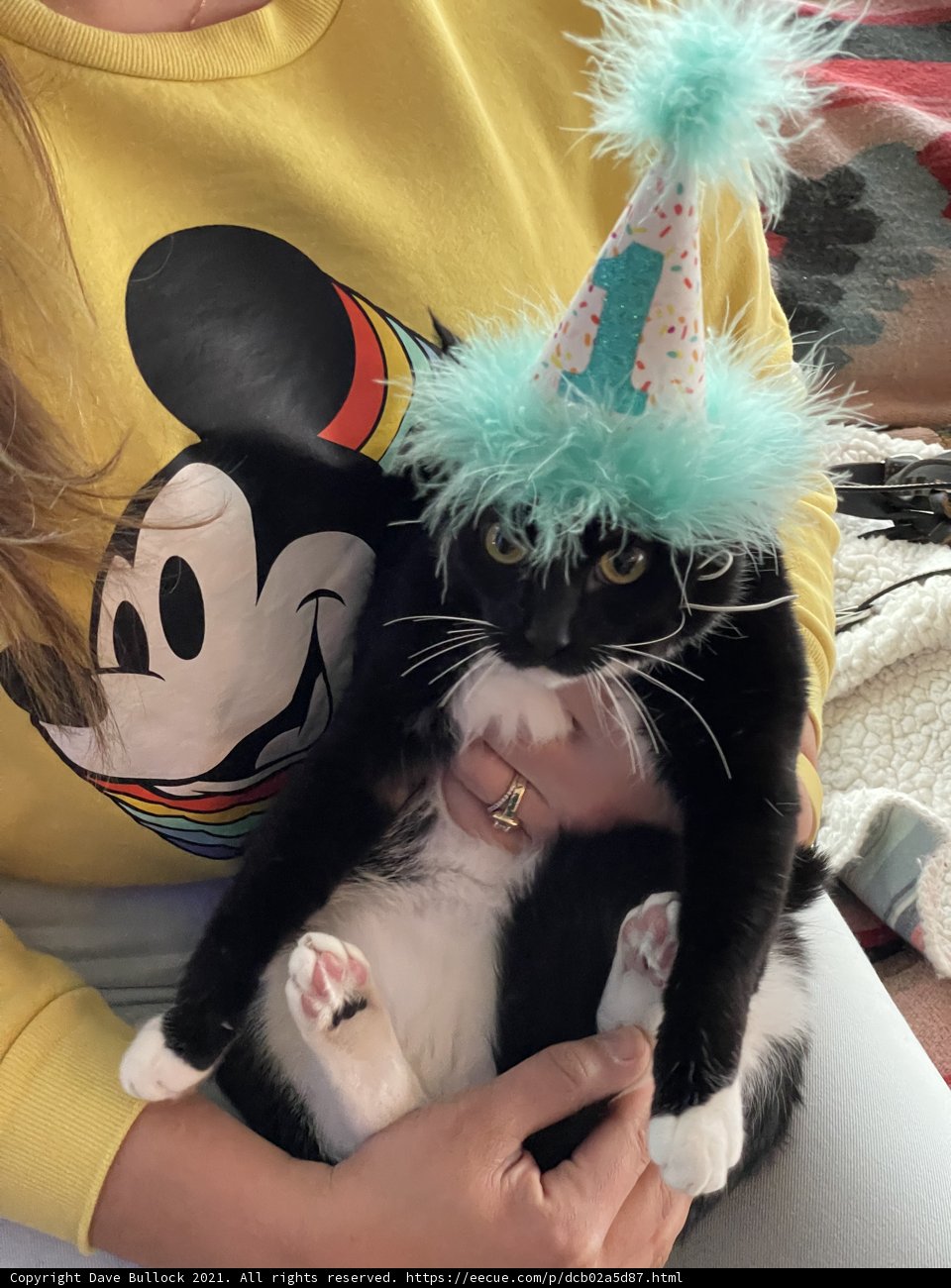 Birthday Cuddle with Furry Friend