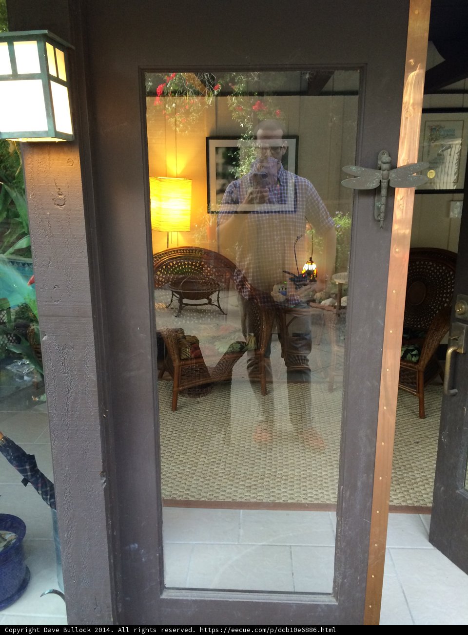 Reflections at the Door