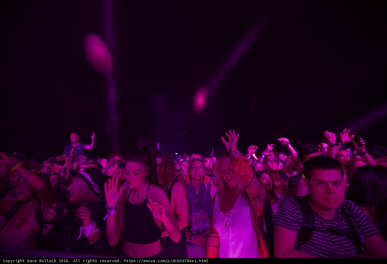 Coachella Crowd Goes Wild