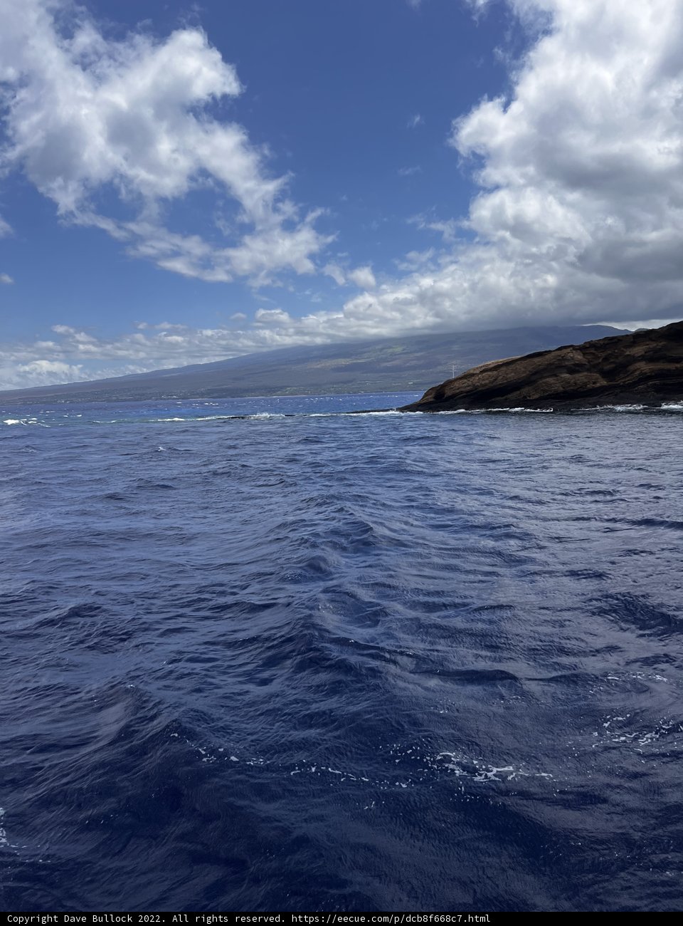 Island Escape