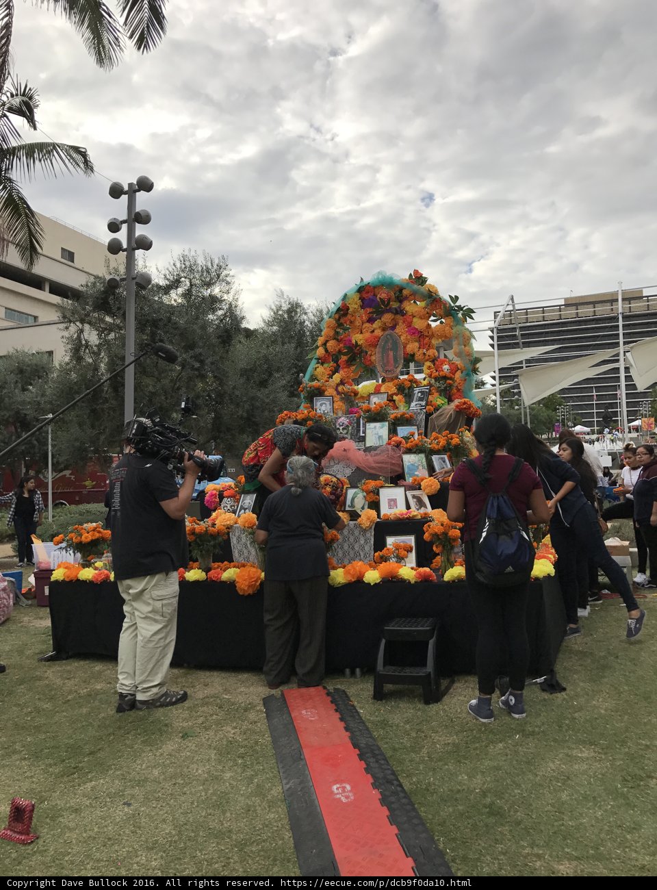 Pumpkin Gathering