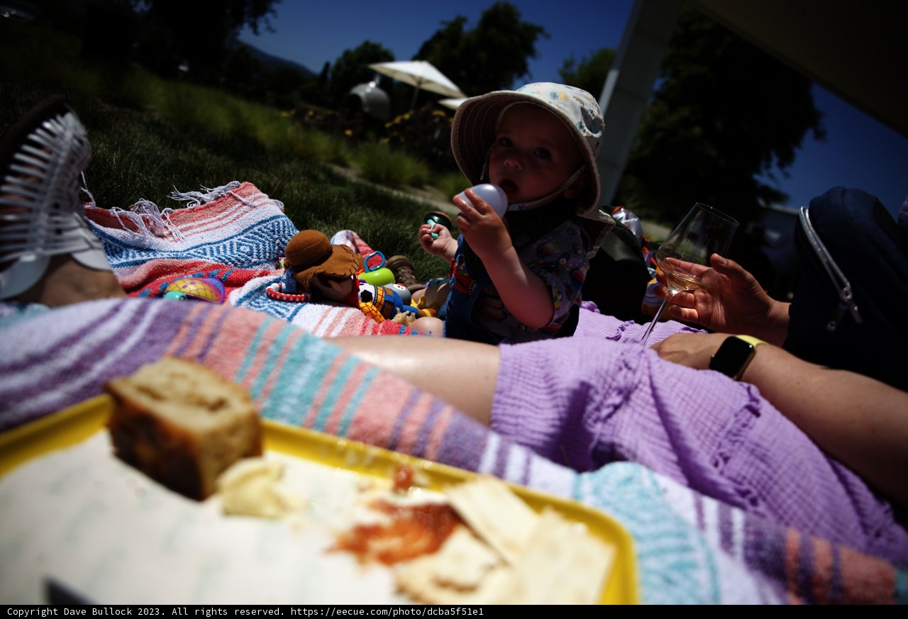 A Joyful Summer Picnic