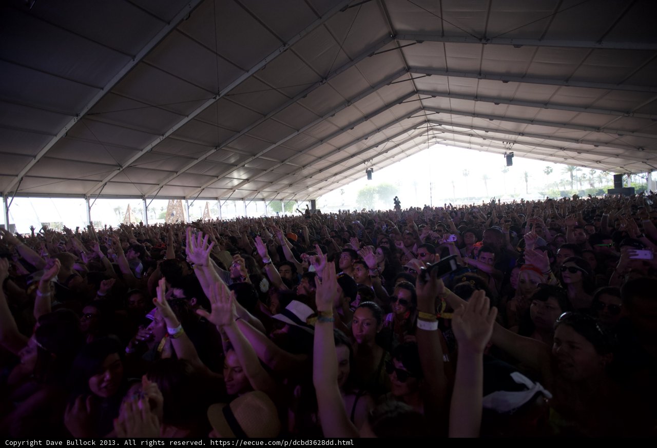 Music Festival Madness