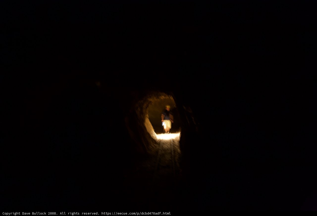 Journey through the Dark Dungeon