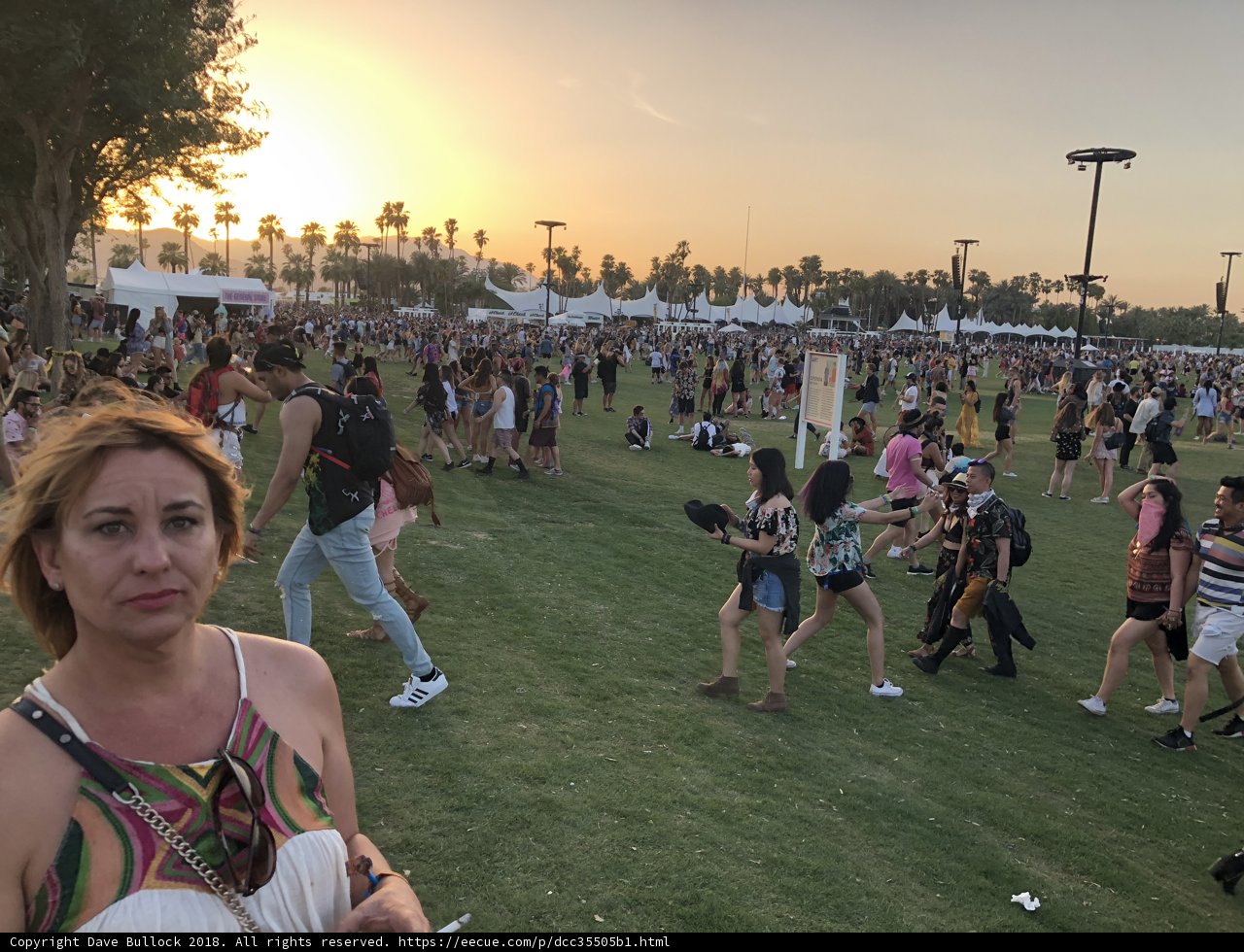 Sunset in the Grass