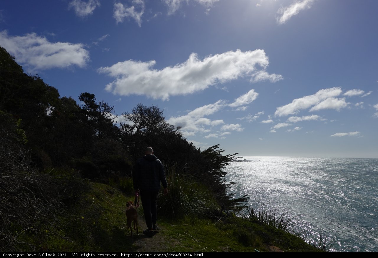 A Leisurely Stroll along the Coastal Scenery