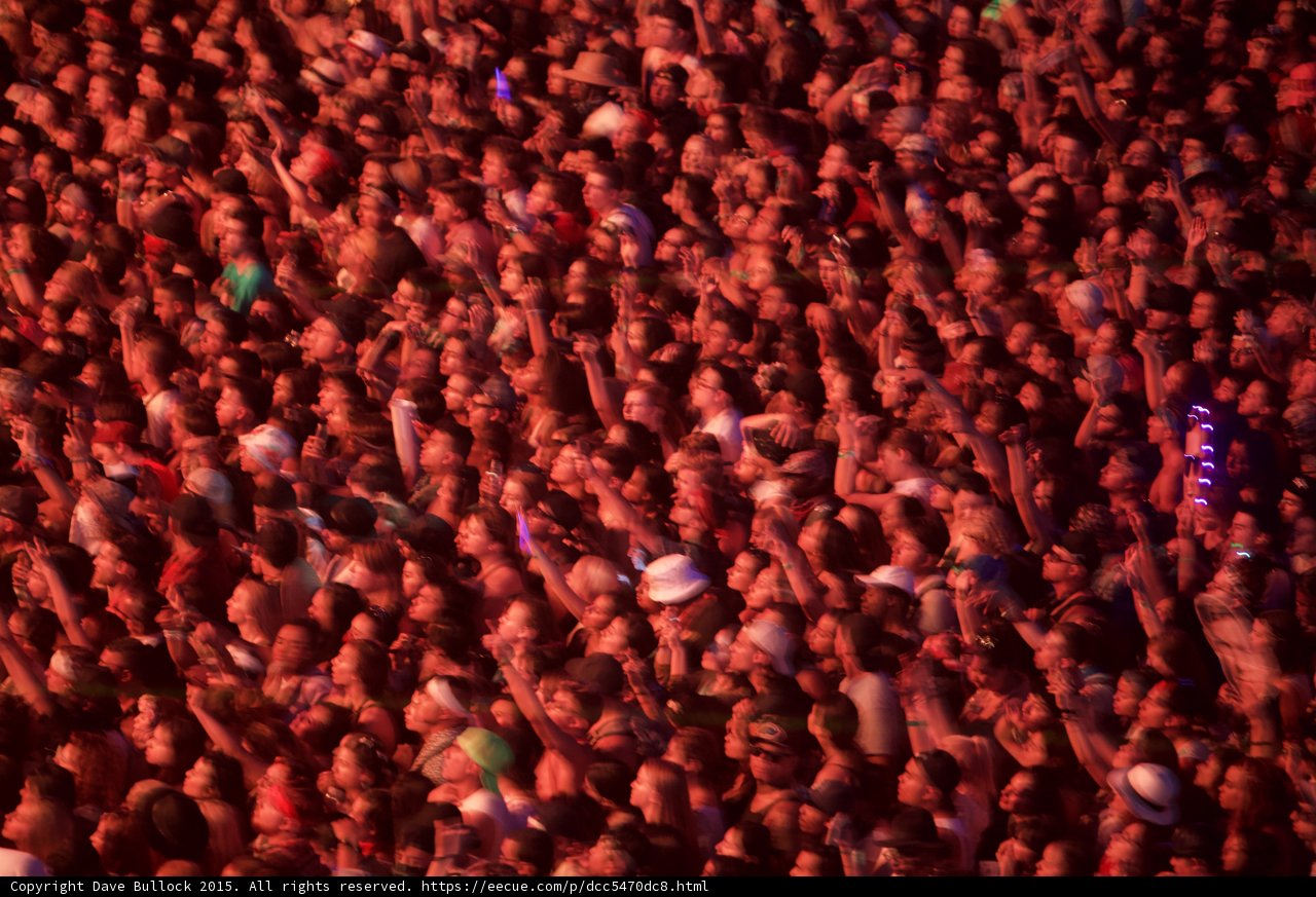 A Sea of Faces at Coachella