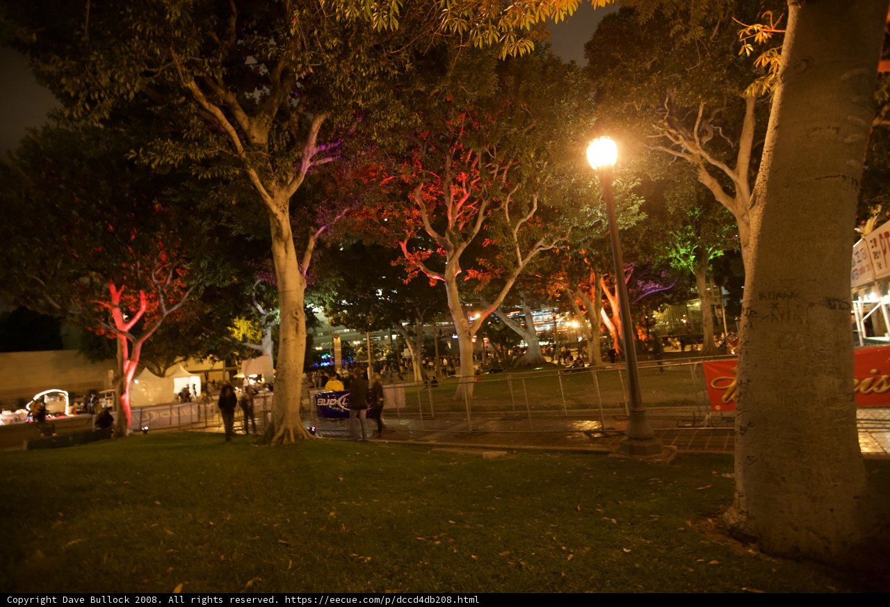 Illuminated Oasis