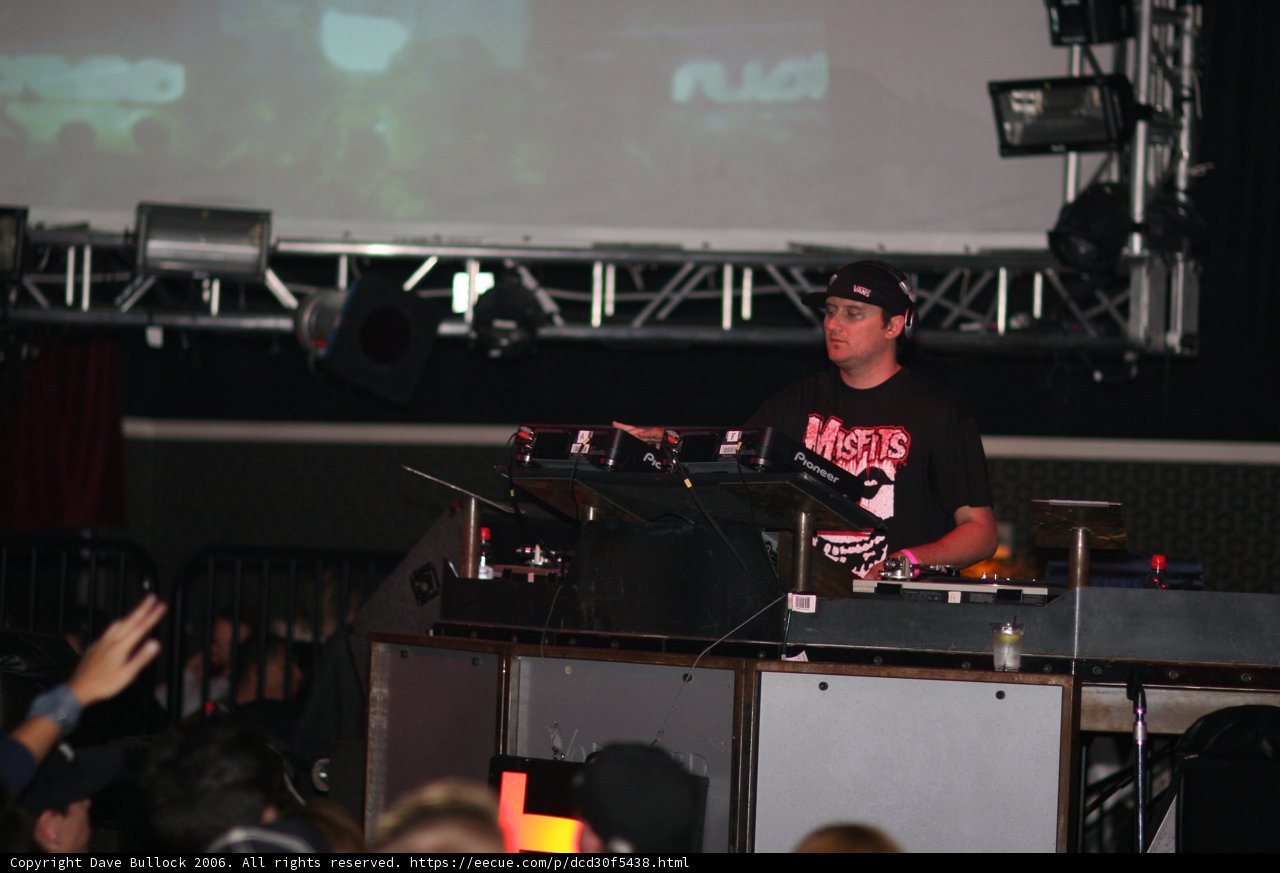 DJ performing for a packed crowd