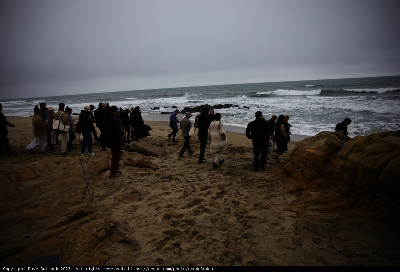 Unforgettable Pescadero Beach Gathering