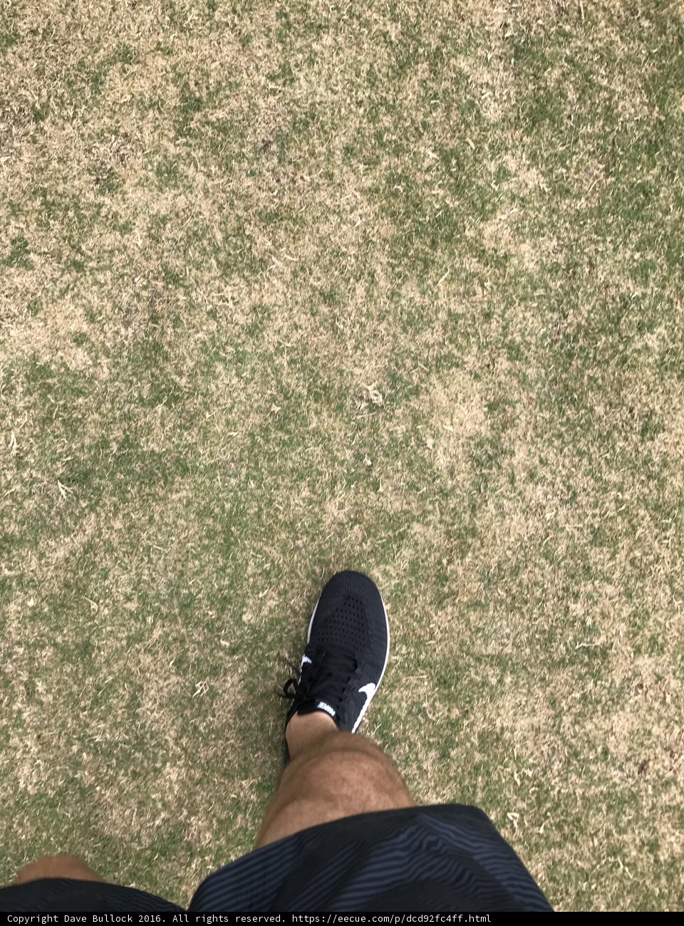 The Perfect Pair