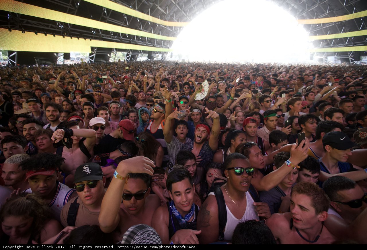Electric Energy: The Massive Crowd at Coachella