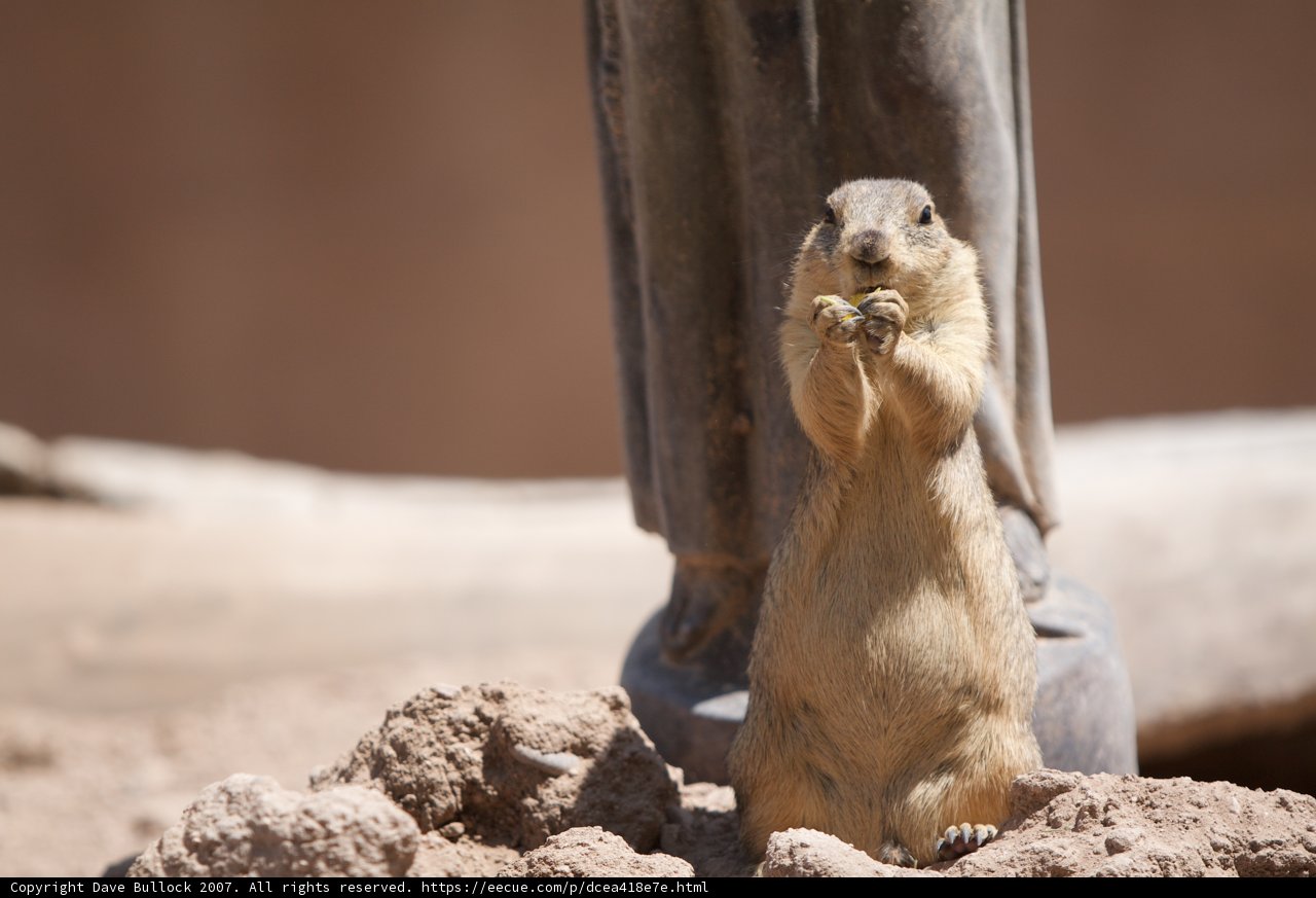 Stand tall, little friend