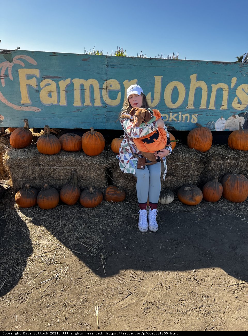 Farmer John's Pumpkin Patch
