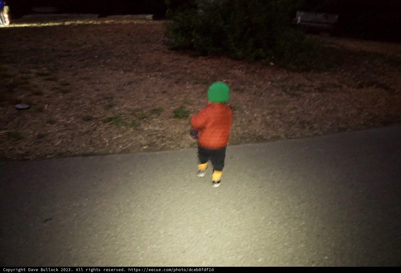 Nighttime Adventure in the Presidio