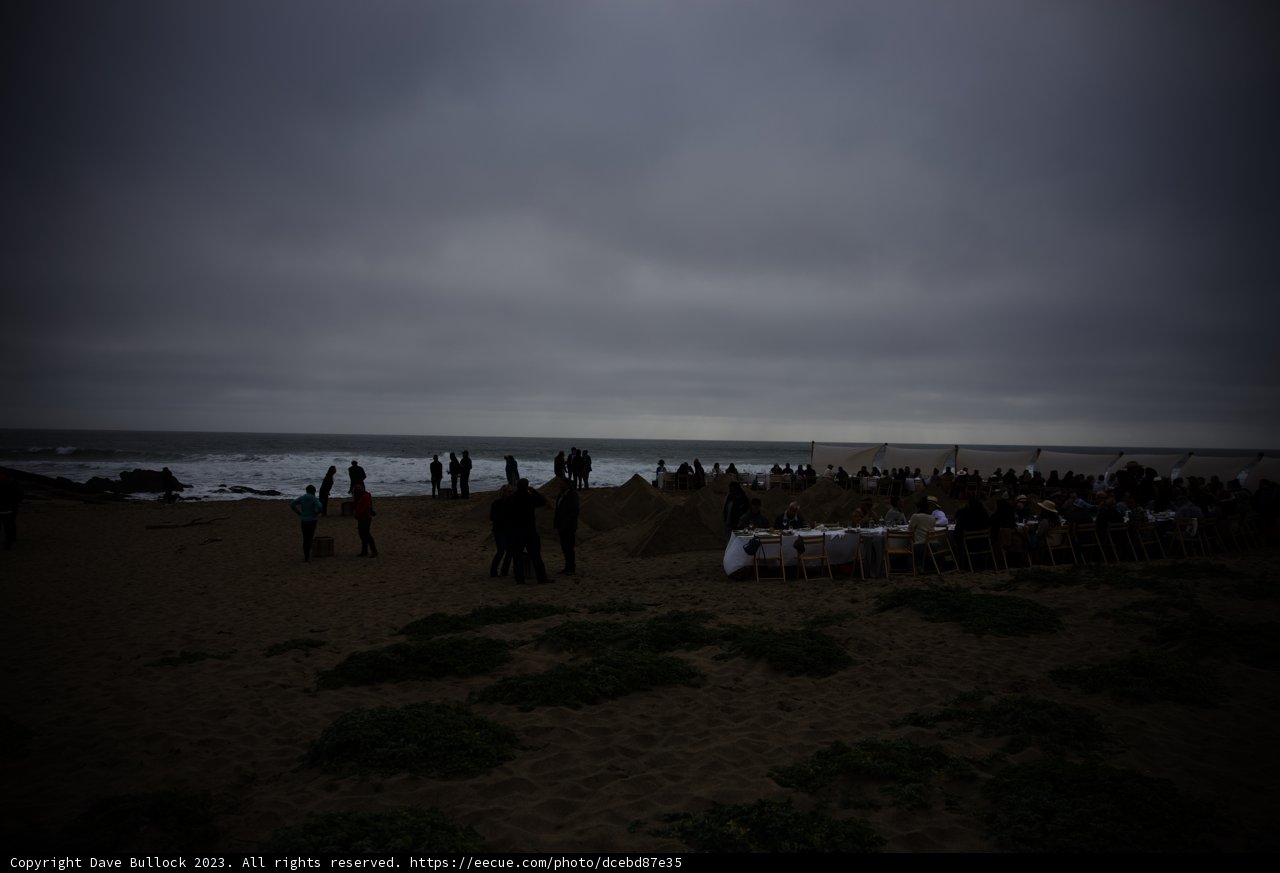Enchanting Beachside Wedding in Pescadero