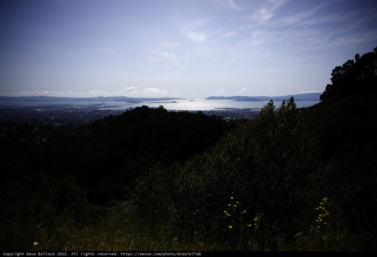 Serene Berkeley Bay View