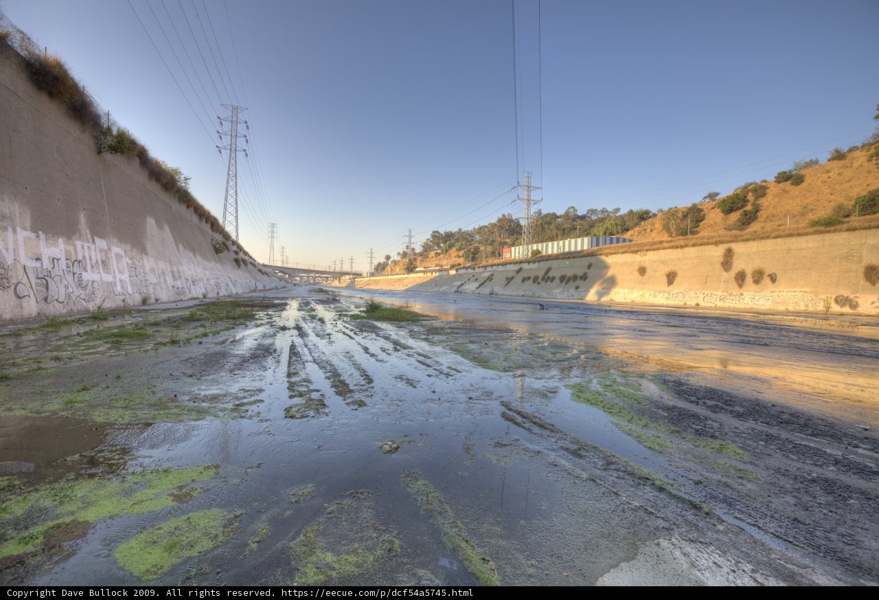 Algae-Infested River