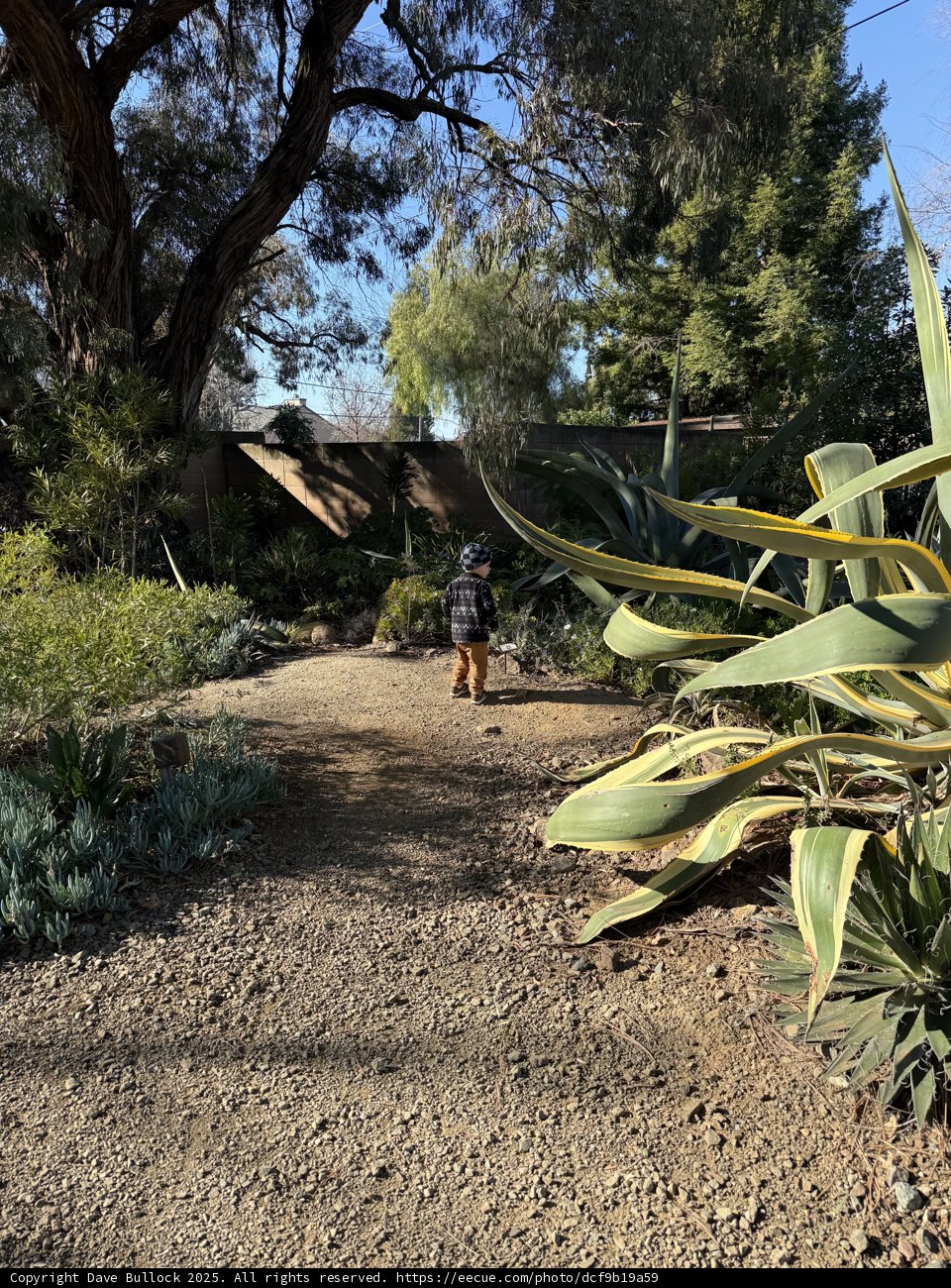 Wandering Through Nature's Path