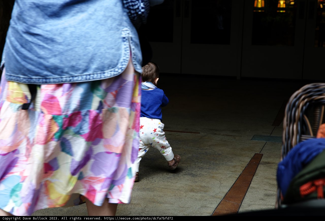 Magical Moments at Disneyland