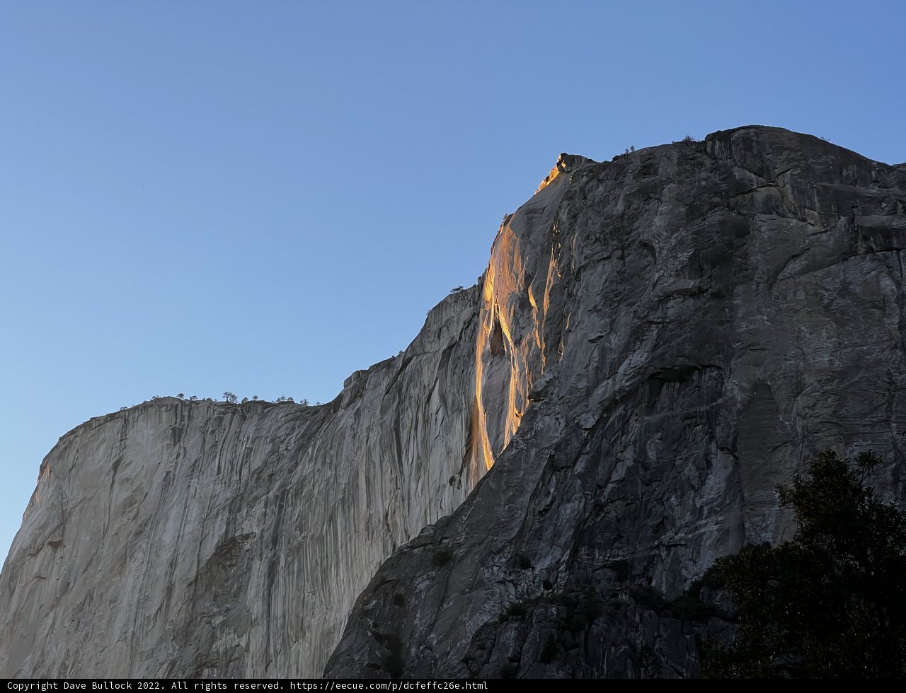 Sun-kissed Beauty in Yosemite National Park